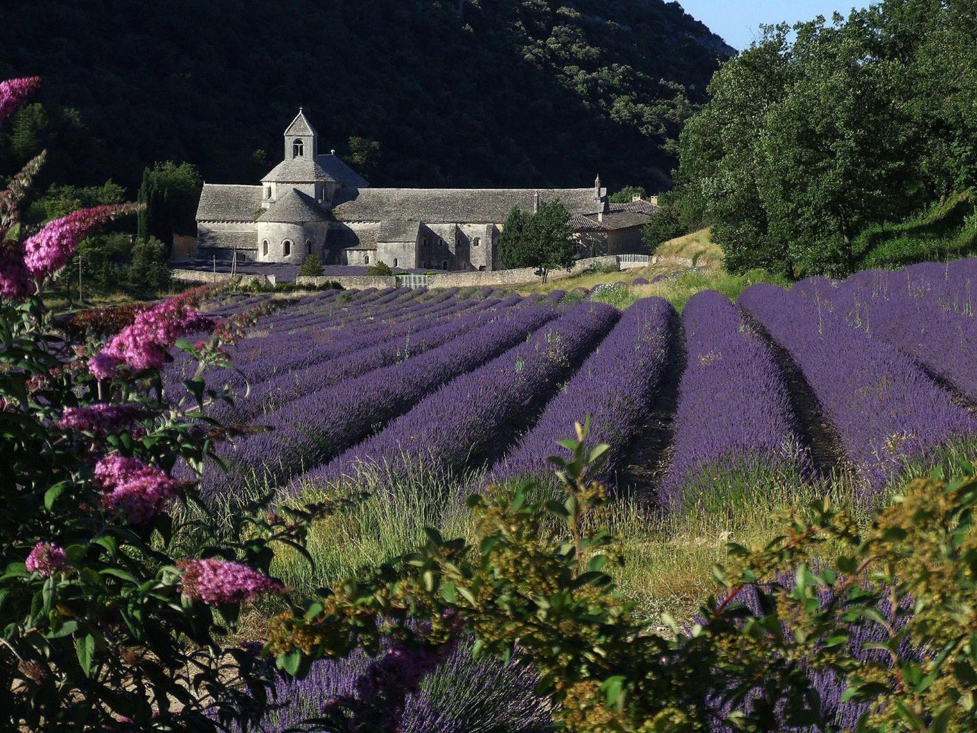 La Calvinette Villa Pernes-les-Fontaines Eksteriør billede